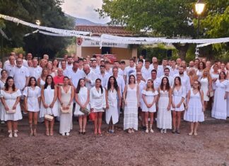 Verbena del pato 2022